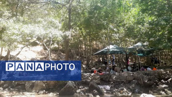 جاذبه‌های طبیعی «شهر کرد» به روایت خبرنگار پانا