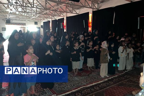 «نجما» در عزای امام حسن مجتبی (ع) به اشک نشست