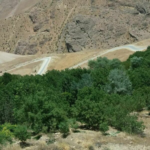 جاذبه‌های گردشگری روستای دوازده‌ امام 