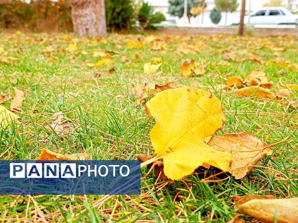 کاشمر در برگریزان پاییز