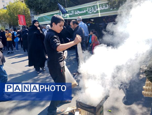 حضور جاماندگان اربعین حسینی در جوار امام مهربانی‌ها
