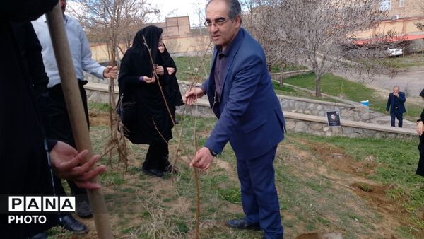 غرس نهال مثمر در کانون فرهنگی هنری شهید فهمیده مرند 