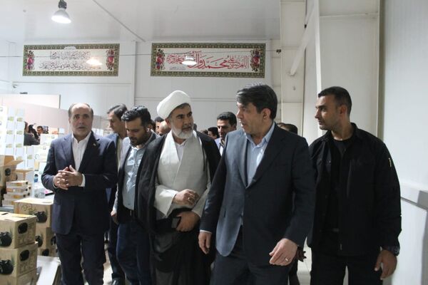 از شنیدن صدای کشاورزان «طرز» تا بازدید از زنجیره ارزش خرمای شرق کرمان