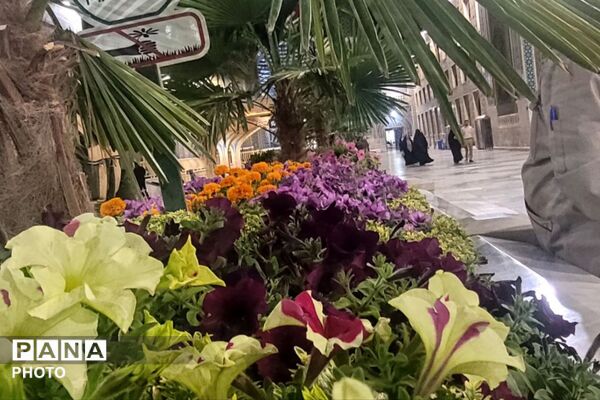 روایتِ شورِ ولایت در قاب دوربین خبرنگار بختیاری 