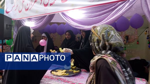 تهران در لباس سبز تولد امام رضا (ع) 