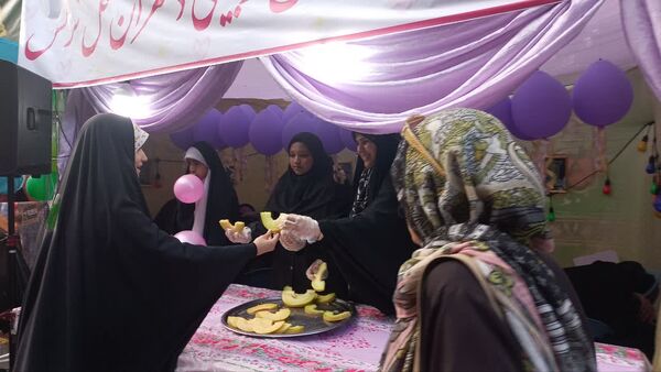 تهران در لباس سبز تولد امام رضا (ع) 