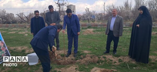 کاشت چهل نهال یادبود چهلم شهدای دانش‌آموزی مدرسه شجره طیبه میناب در اردوگاه الغدیر تبریز 