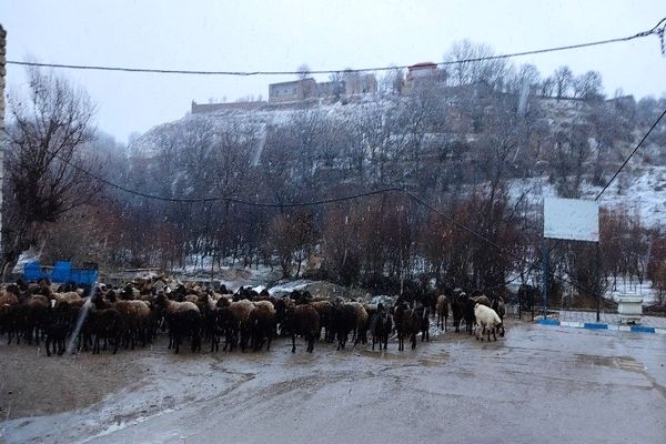شروع اولین بارش برف زمستانی در بهمن ماه ۱۴۰۳ در شهر زیبای با‌ر