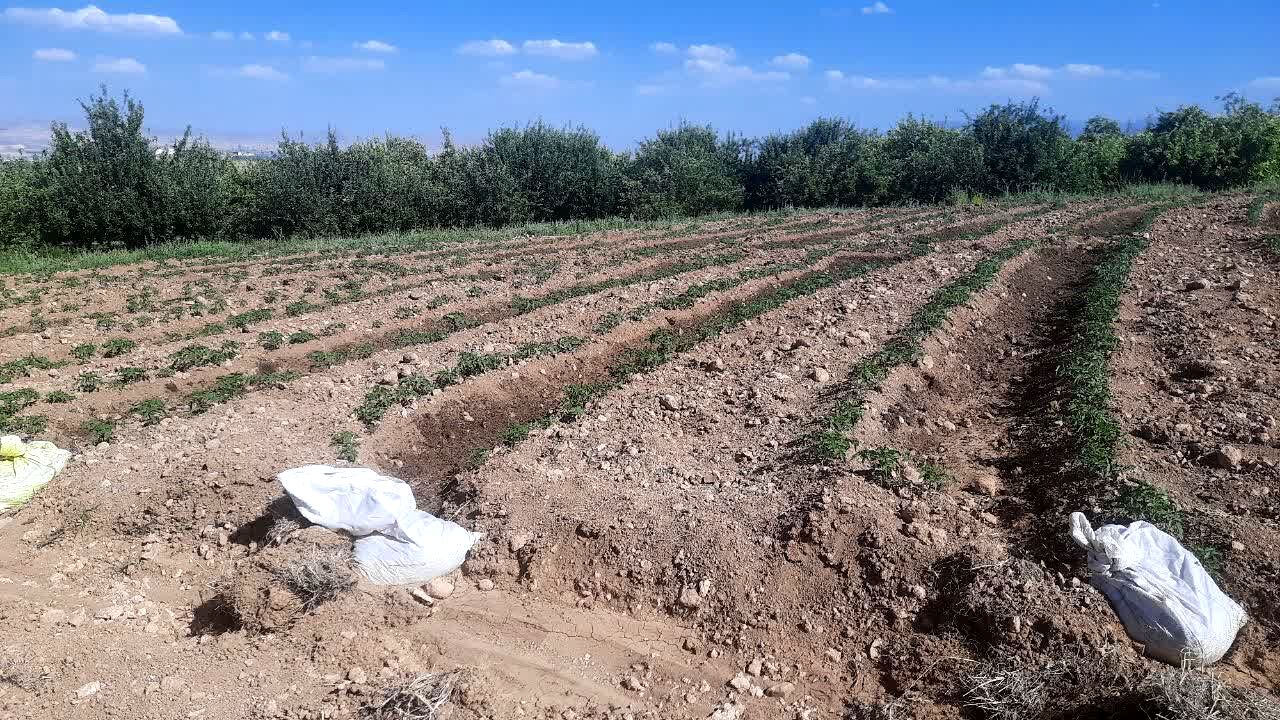 صدور دستور تسهیل در صدور مجوز برای فعالیت‌های کشاورزی