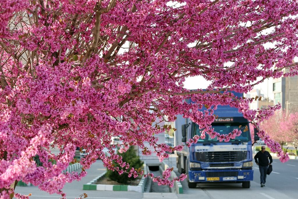 ارومیه شهر رویایی