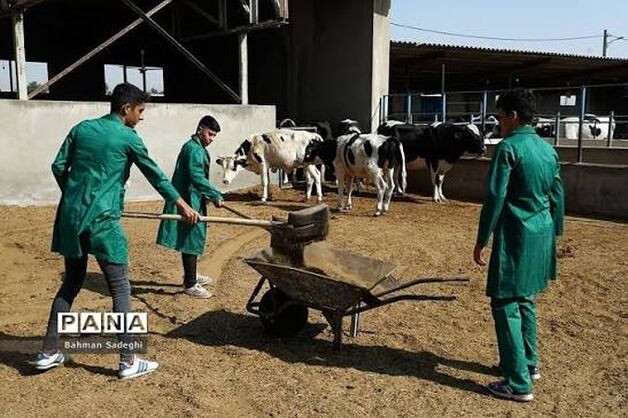 نایب‌رئیس کمیسیون کشاورزی مجلس: هنرستان‌های کشاورزی می‌توانند زمینه‌ساز تربیت نیروی متخصص جوان باشند