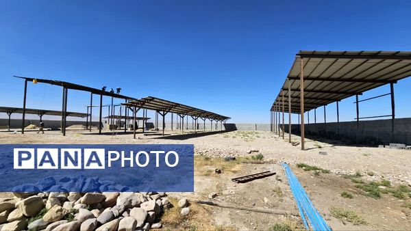 بازدید از طرح در حال احداث پرورش گاوشیری صنعتی