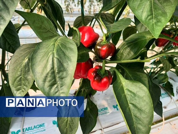 دومین تور رسانه‌ای مدیریت امور اراضی سازمان جهاد کشاورزی آذربایجان شرقی