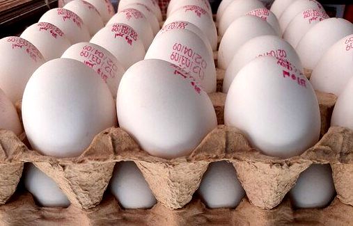 قیمت خرید حمایتی تخم مرغ اعلام شد