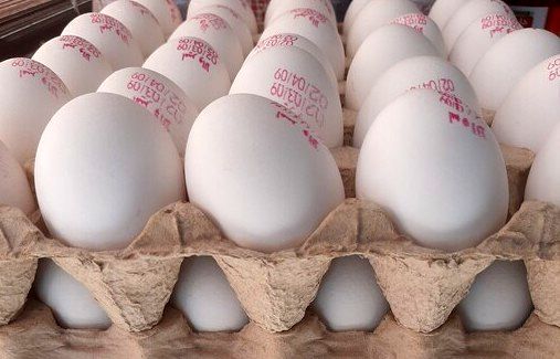 قیمت خرید حمایتی تخم مرغ اعلام شد