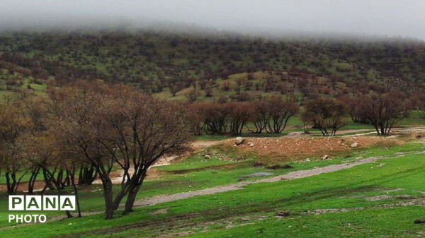 نگین سبز زاگرس 