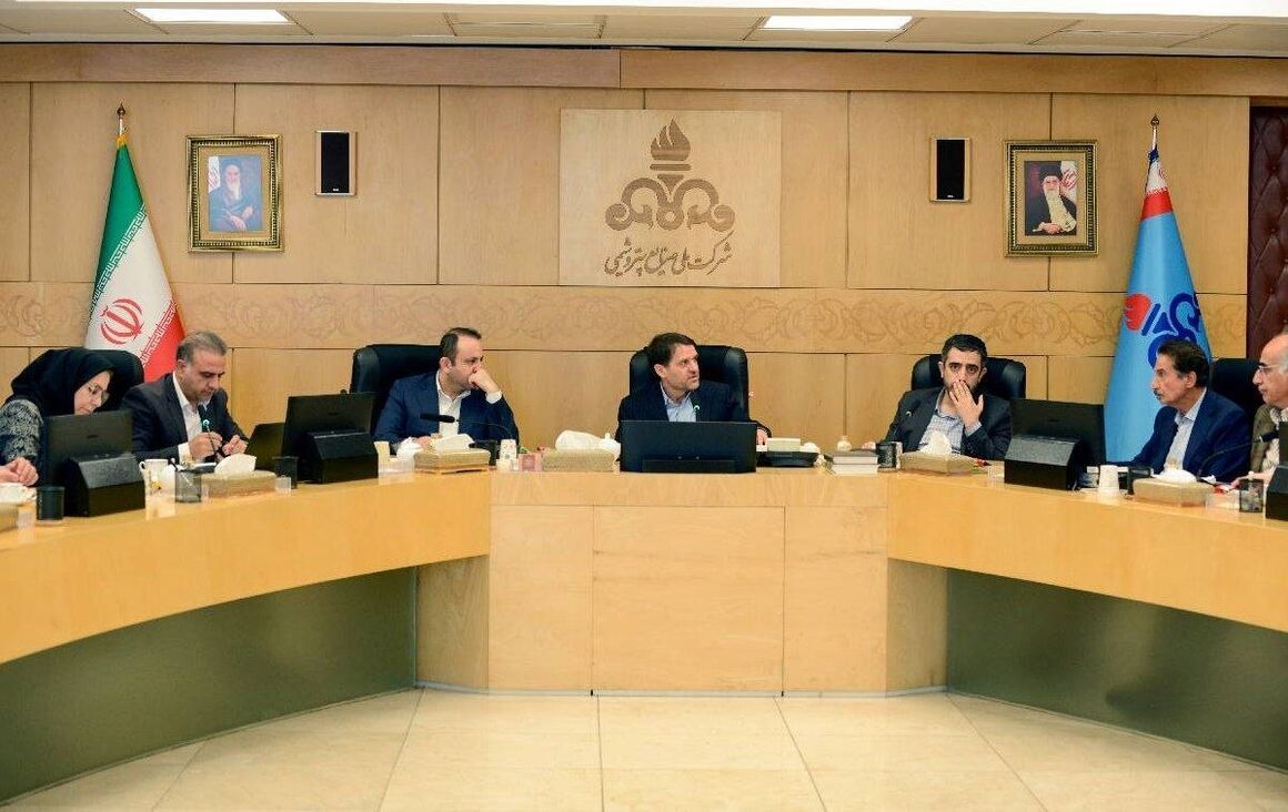 ضرورت به کارگیری ظرفیت شرکت‌های پتروشیمی در جهت واردات با هدف تأمین نیاز داخل