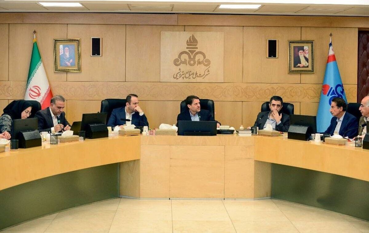 ضرورت به کارگیری ظرفیت شرکت‌های پتروشیمی در جهت واردات با هدف تأمین نیاز داخل