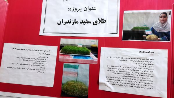 افتتاح نمایشگاه جابربن‌حیان در دبستان شهید احمدپور قائمشهر