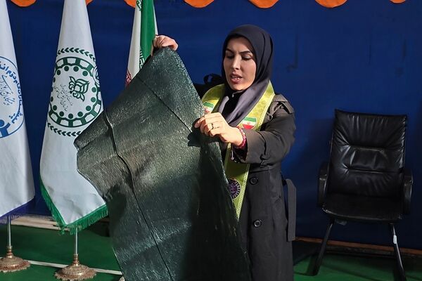 کارگاه آموزشی مهارت‌افزایی مربیان پیشتاز  بهارستان‌دو