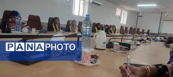 برگزاری کارگاه آموزشی خبرنگاری پانا در فین