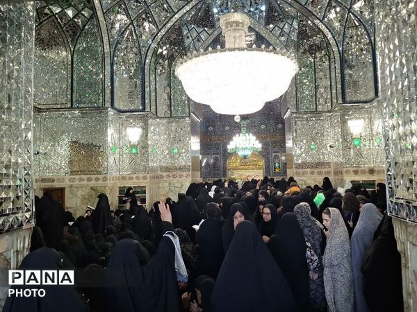 حرمی که هر گوشه اش یک روایت است؛ بارگاه علی ابن موسی رضا(ع) در قاب تصویر