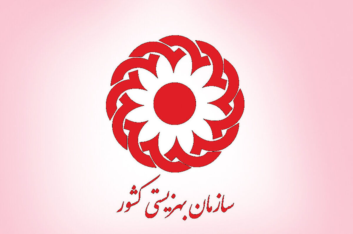 ارائه روزانه ۱۴ هزار خدمات اجتماعی در محلات توسط همیاران بهزیستی
