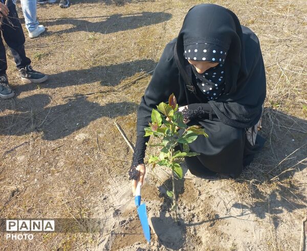 ادای احترام به دانش‌آموزان شهید میناب با کاشت نهال در رودسر