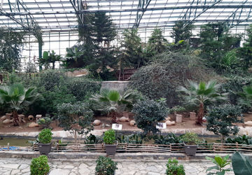 باغ پرندگان قم: جاذبه‌ای بی‌نظیر در قلب کشور