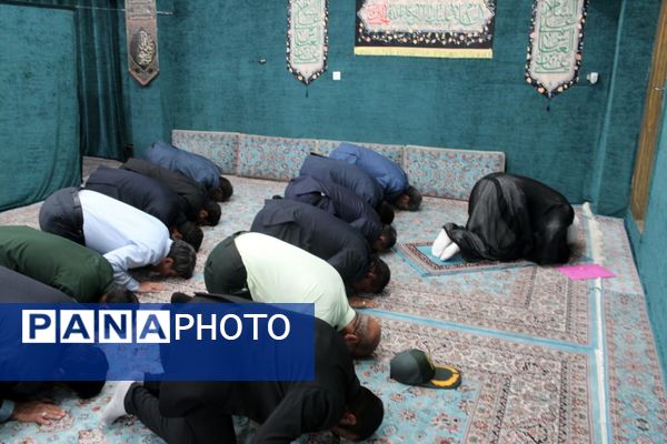 از شنیدن صدای کشاورزان «طرز» تا بازدید از زنجیره ارزش خرمای شرق کرمان