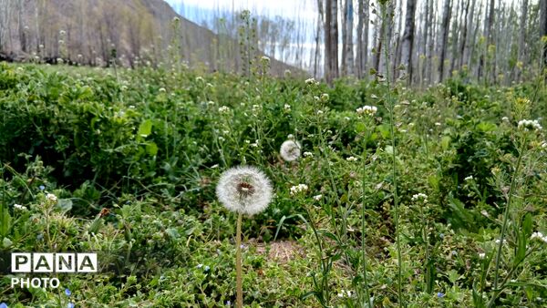  نجوای بهار در روستای سرتشنیز