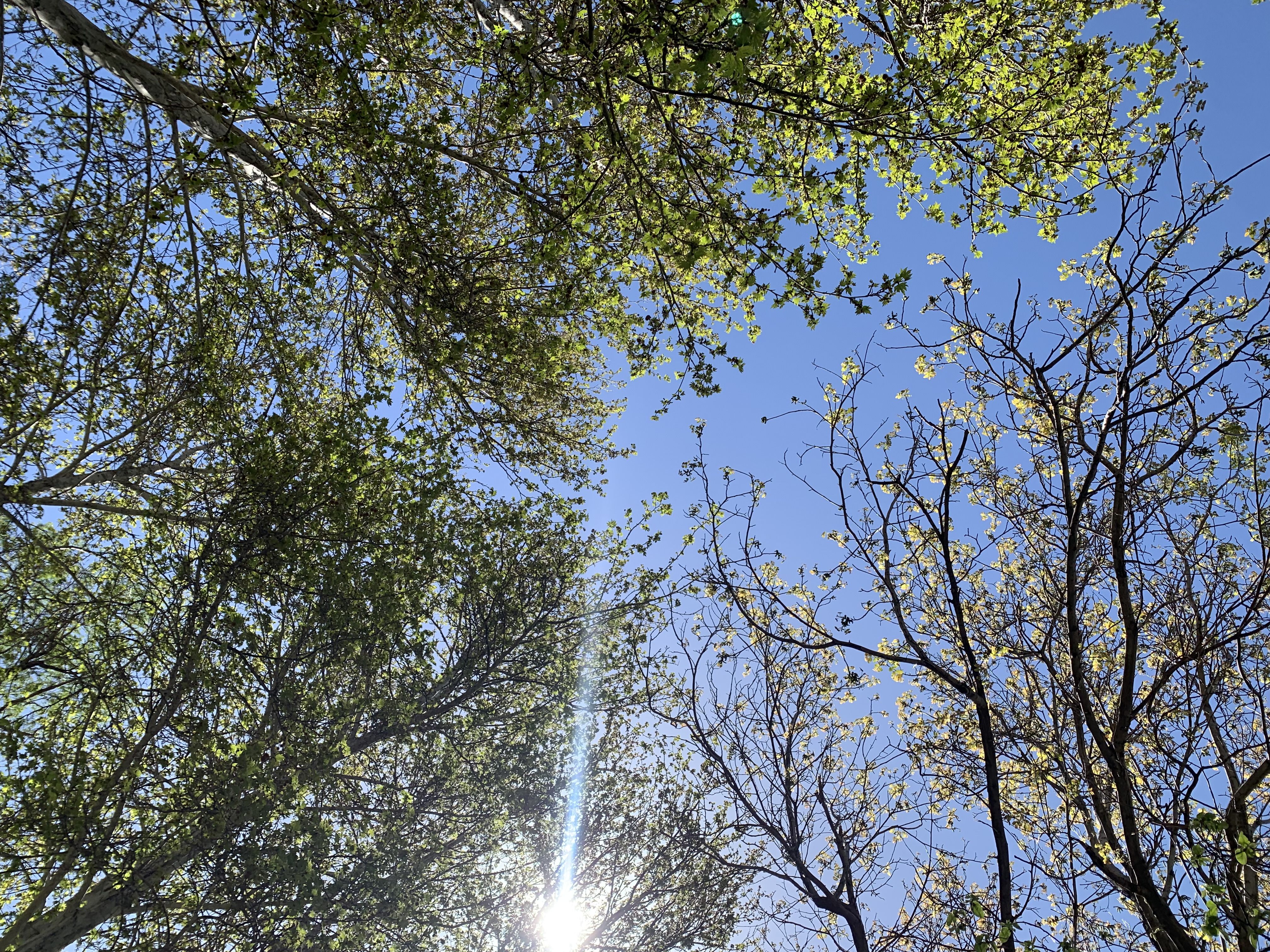 اردوی بهاری دبیرستان بنت الهدی 