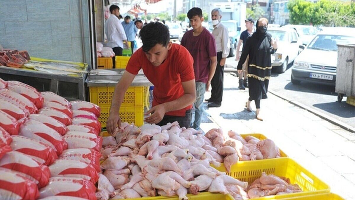 دعوای مجلس و مرغداران بر سر مقصر گرانی