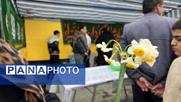 جشن نیمه شعبان در هشت نقطه از شهرکرد 