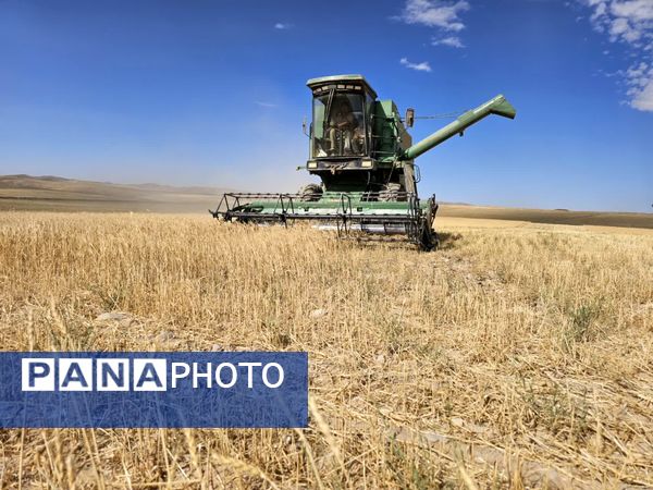 بازدید برداشت گندم در شهرستان فاروج
