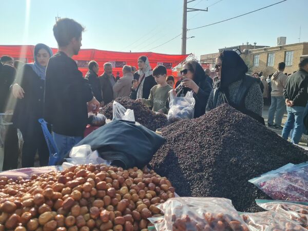 دومین جشنواره زرشک سیاه در روستای تیل شهرستان شبستر