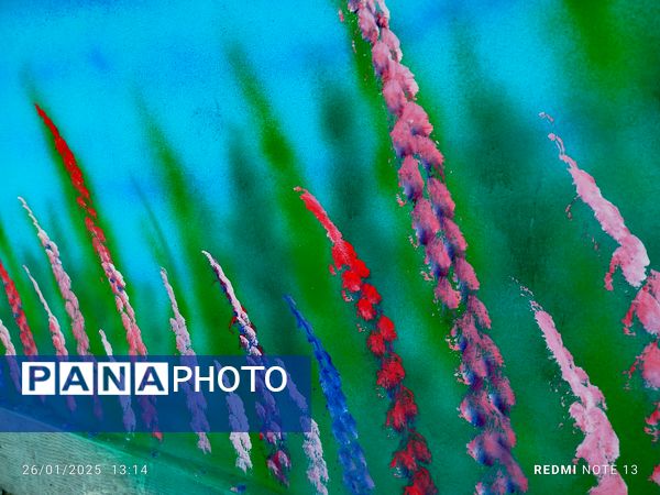 نقاشی دیوارهای آموزشگاه مرحوم حسین نساجیان کاشمر