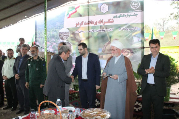 جشن شکر گزاری برداشت گردو 
