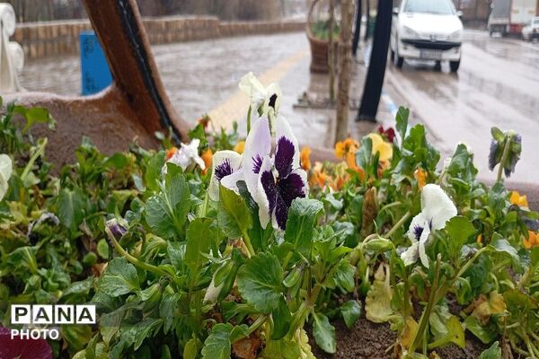 بارش شدید  باران بهاری و اب گرفتگی معابر شهر بار