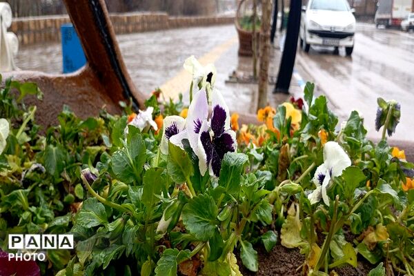 بارش شدید  باران بهاری و اب گرفتگی معابر شهر بار