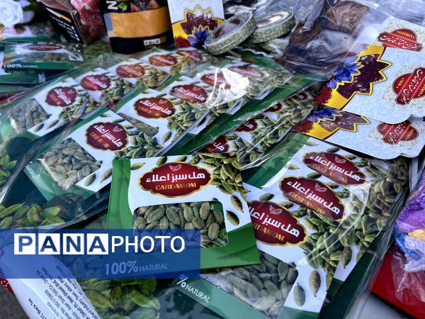 بازارچه دهه فجر در شهرک ینگی امام ساوجبلاغ 