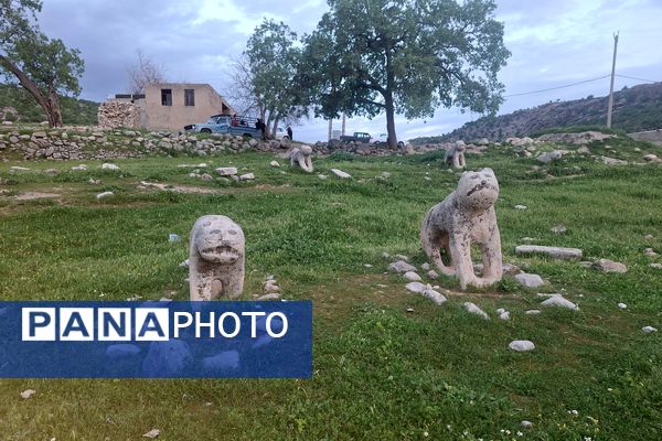 قبرستانی تاریخی و سرسبز به قدمت چند صد ساله در فارس