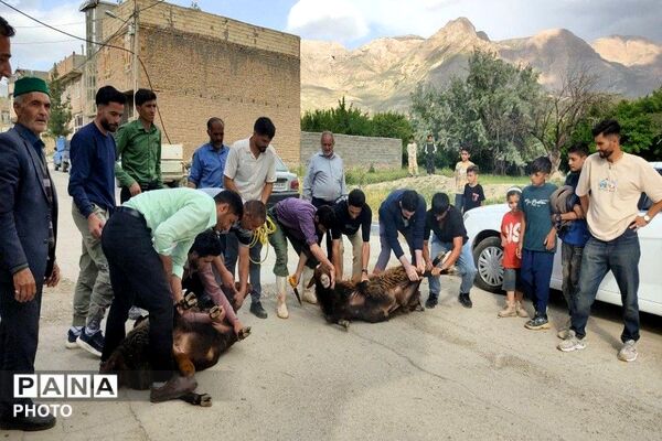 بازگشت حجاج شهربار از مراسم معنوی حج