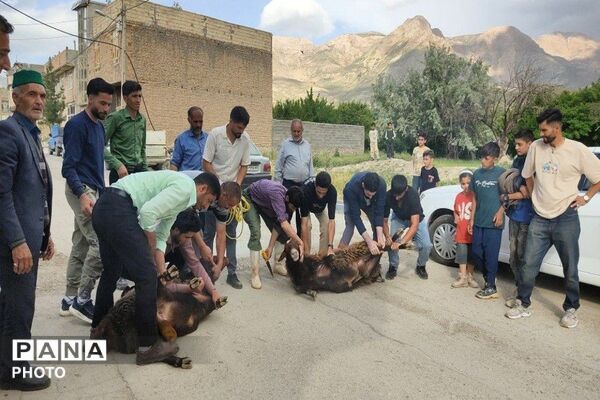 بازگشت حجاج شهربار از مراسم معنوی حج