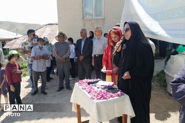 مراسم گلابگیری در روستای طارس شهرستان فیروزکوه