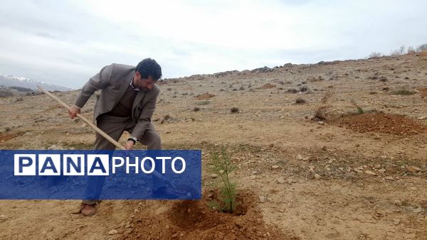 پویش درختکاری «جان ایران» در سلسله