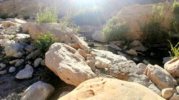روستای برد‌زرد نگینی غریب در شهرستان لنده