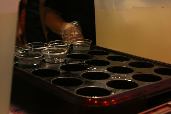 هیات رزمندگان اسلام در تبریز