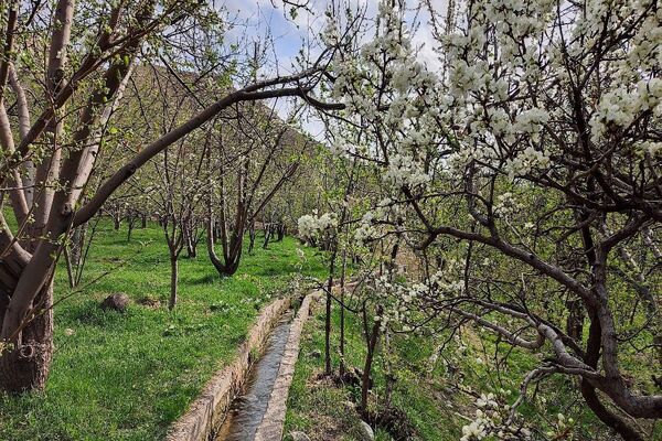 شهر بار نگین سبز خراسان رضوی میزبان فصل بهار 