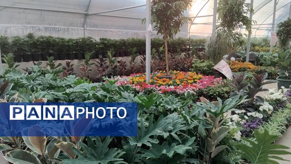 جشنواره گل‌و‌گیاه در محلات